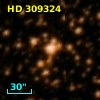 HD 309324