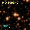 HD 309340