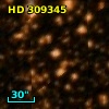 HD 309345