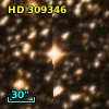 HD 309346