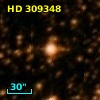 HD 309348