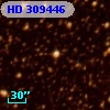 HD 309446