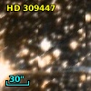 HD 309447