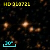 HD 310721