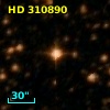 HD 310890