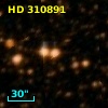 HD 310891