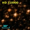HD 310900