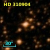 HD 310904