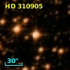 HD 310905