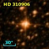 HD 310906