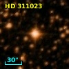 HD 311023