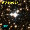 HD 309317