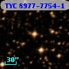 TYC 8977-7754-1