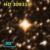 HD 309318