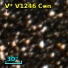 2MASS J11540549-6204385