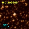HD 309205