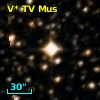 V* TV Mus