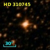 HD 310745