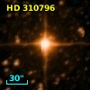 HD 310796