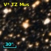 V* TZ Mus