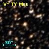 V* TY Mus