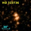 HD 310736