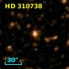HD 310738