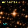 HD 310739