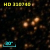 HD 310740