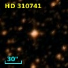 HD 310741