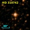 HD 310742