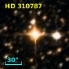 HD 310787
