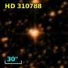 HD 310788