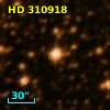 HD 310918