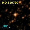 HD 310790
