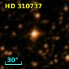 HD 310737