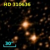 HD 310636