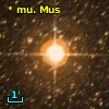 V* mu. Mus