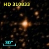 HD 310833
