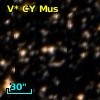 V* CY Mus