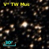 V* TW Mus