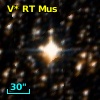 V* RT Mus