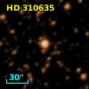 HD 310635