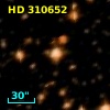 HD 310652