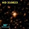 HD 310823