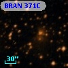 BRAN 371C