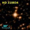 HD 310834