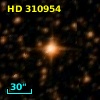 HD 310954