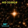 HD 310924