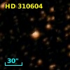 HD 310604